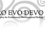 EED Awards
