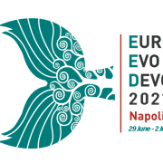 evo devo 2020